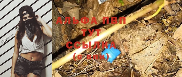 хмурый Верхний Тагил