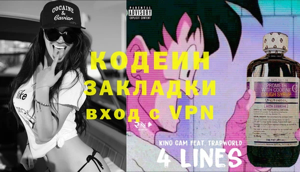 ГАЛЛЮЦИНОГЕННЫЕ ГРИБЫ Верея