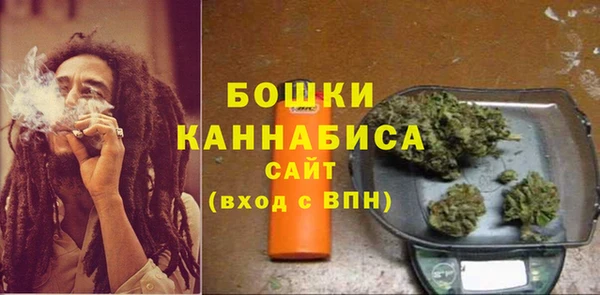 ГАЛЛЮЦИНОГЕННЫЕ ГРИБЫ Верея