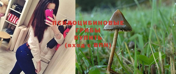 хмурый Верхний Тагил
