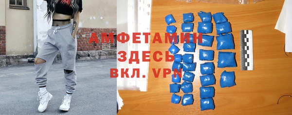 ГАЛЛЮЦИНОГЕННЫЕ ГРИБЫ Верея